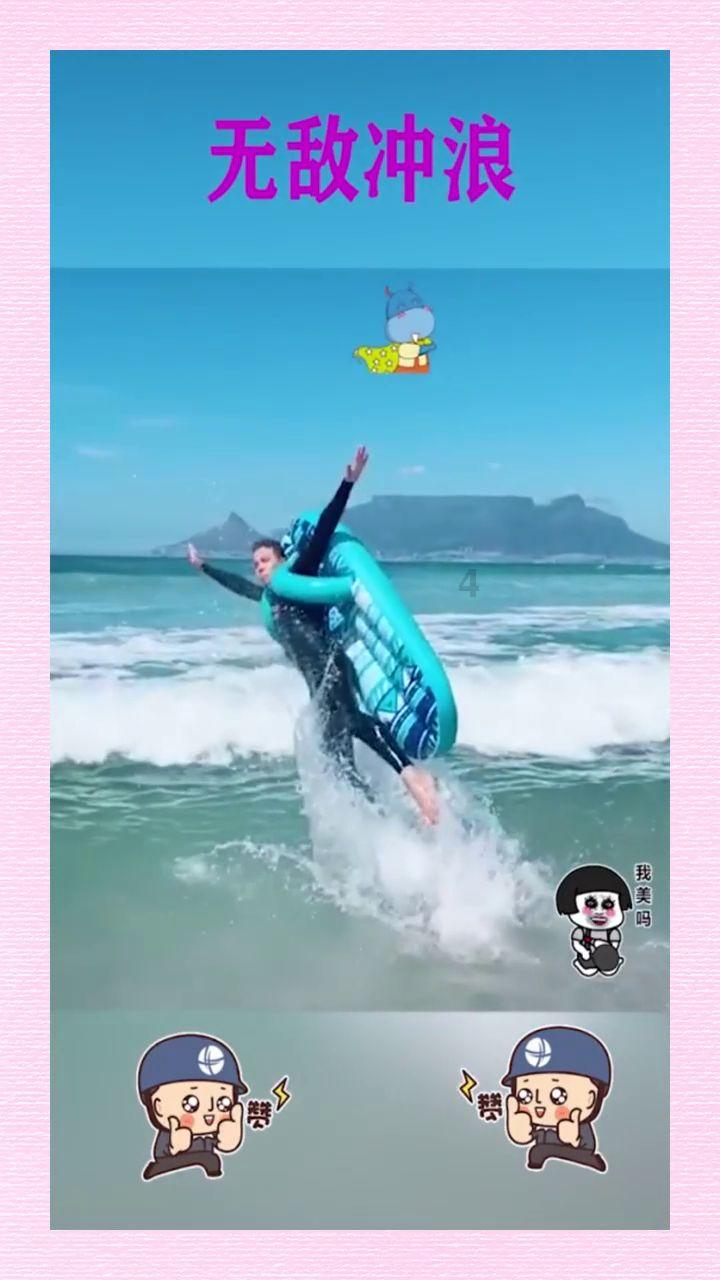 动物帮帮忙保卫家园