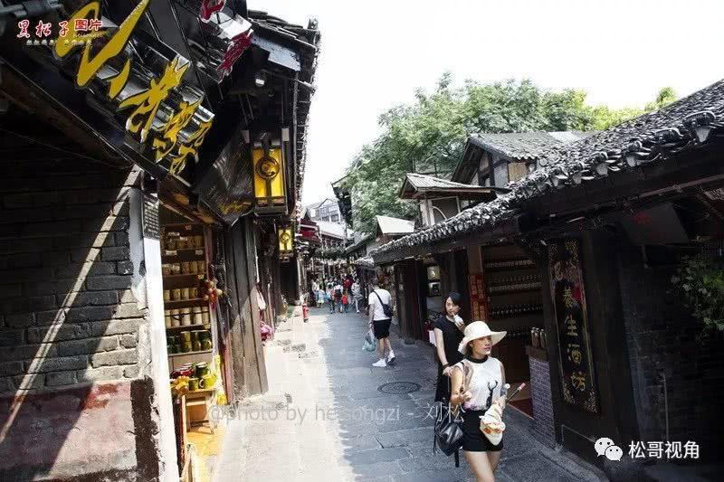 探索太岁是什么生物的知识星球,深度分享与学习宝藏