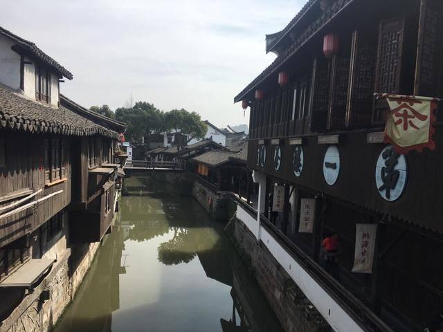 动物帮帮忙保卫家园